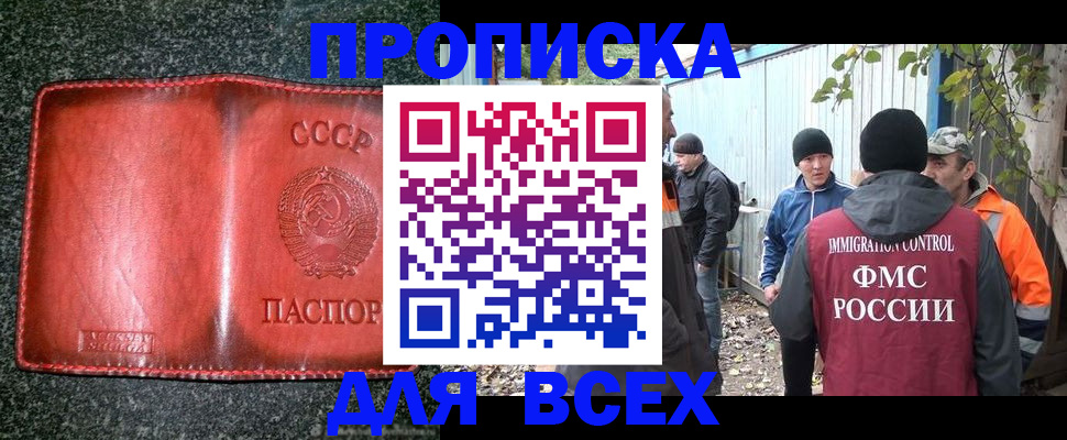 временная регистрация поиск в Полярных Зорях